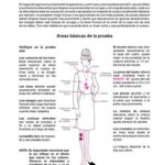 Ajustes de prendas de vestir: Mejora tu ajuste y realza tu figura